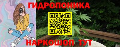 ешки Славгород