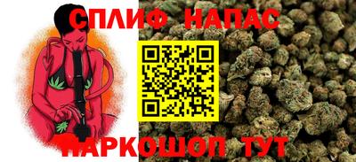 дмт Славянск-на-Кубани