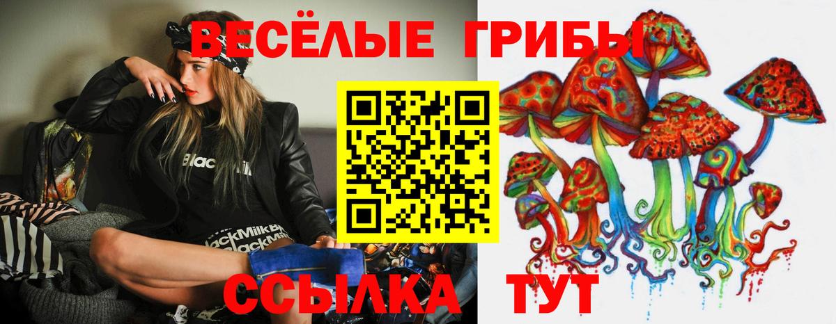 Псилоцибиновые грибы GOLDEN TEACHER Энгельс